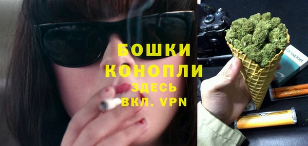 крисы Мегион