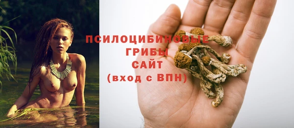 амф Медногорск