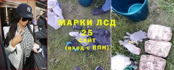 мдпв Михайлов
