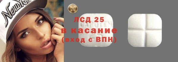 крисы Мегион
