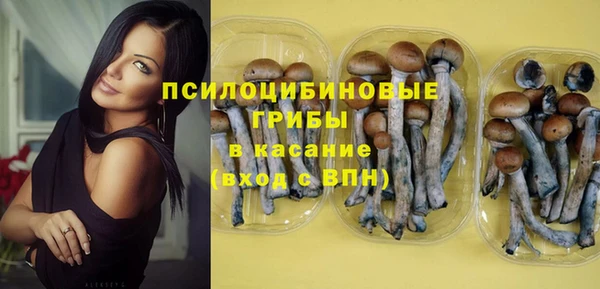 крисы Мегион